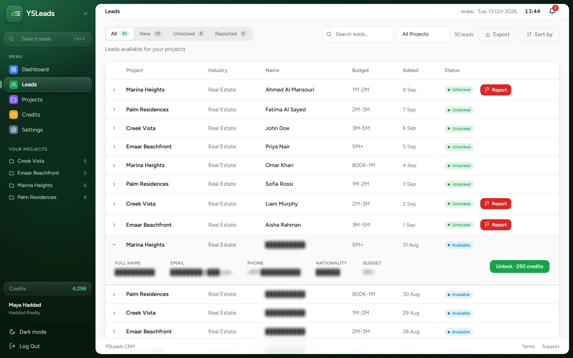 A new lead opened, showing its project and budget with the details still hidden