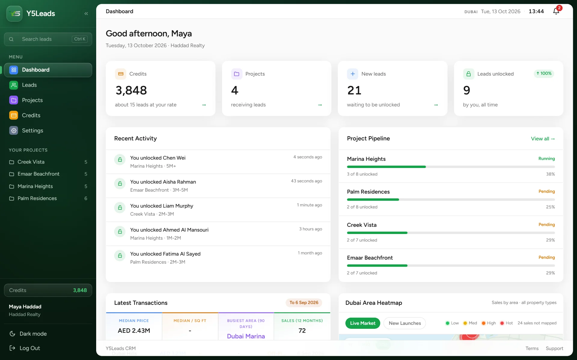The Y5Leads dashboard with credits, projects and recent activity